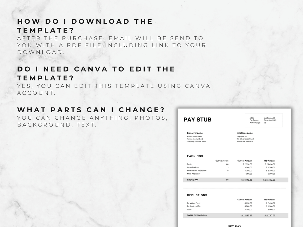 Pay Stub Canva Template