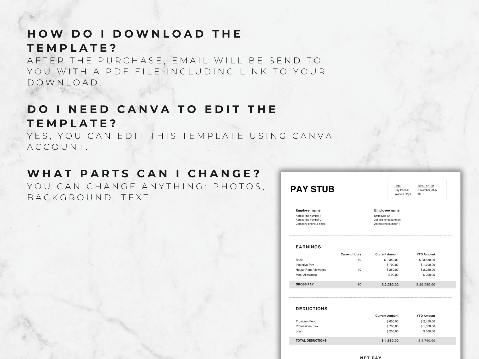Pay Stub Canva Template