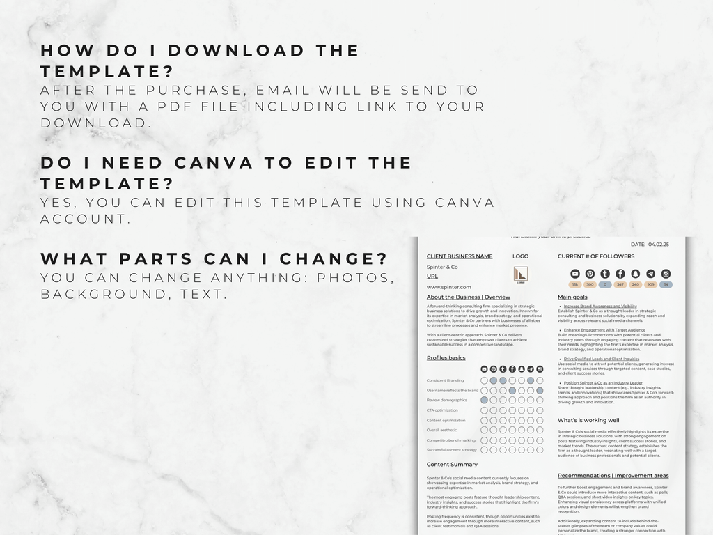 Brand Social Media Audit Template