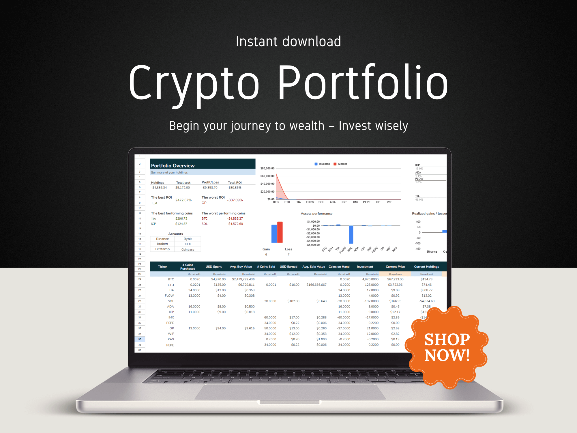 Crypto Portfolio template to download