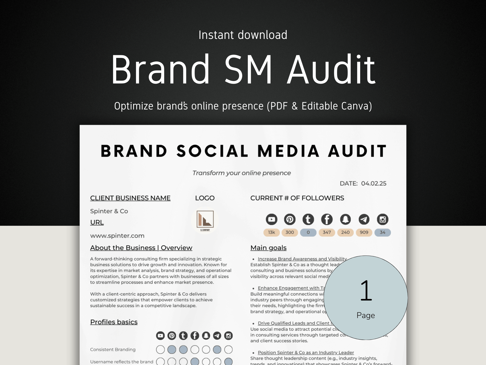 Brand Social Media Audit document with branding elements on a dark background