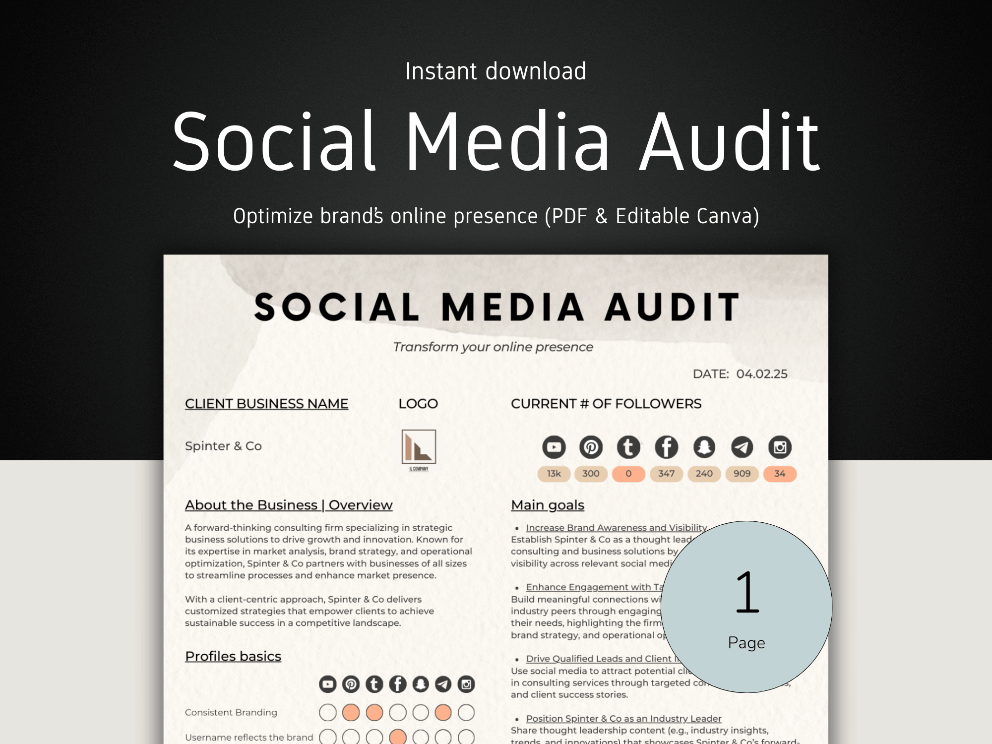 Social Media Audit template with branding elements on a dark background
