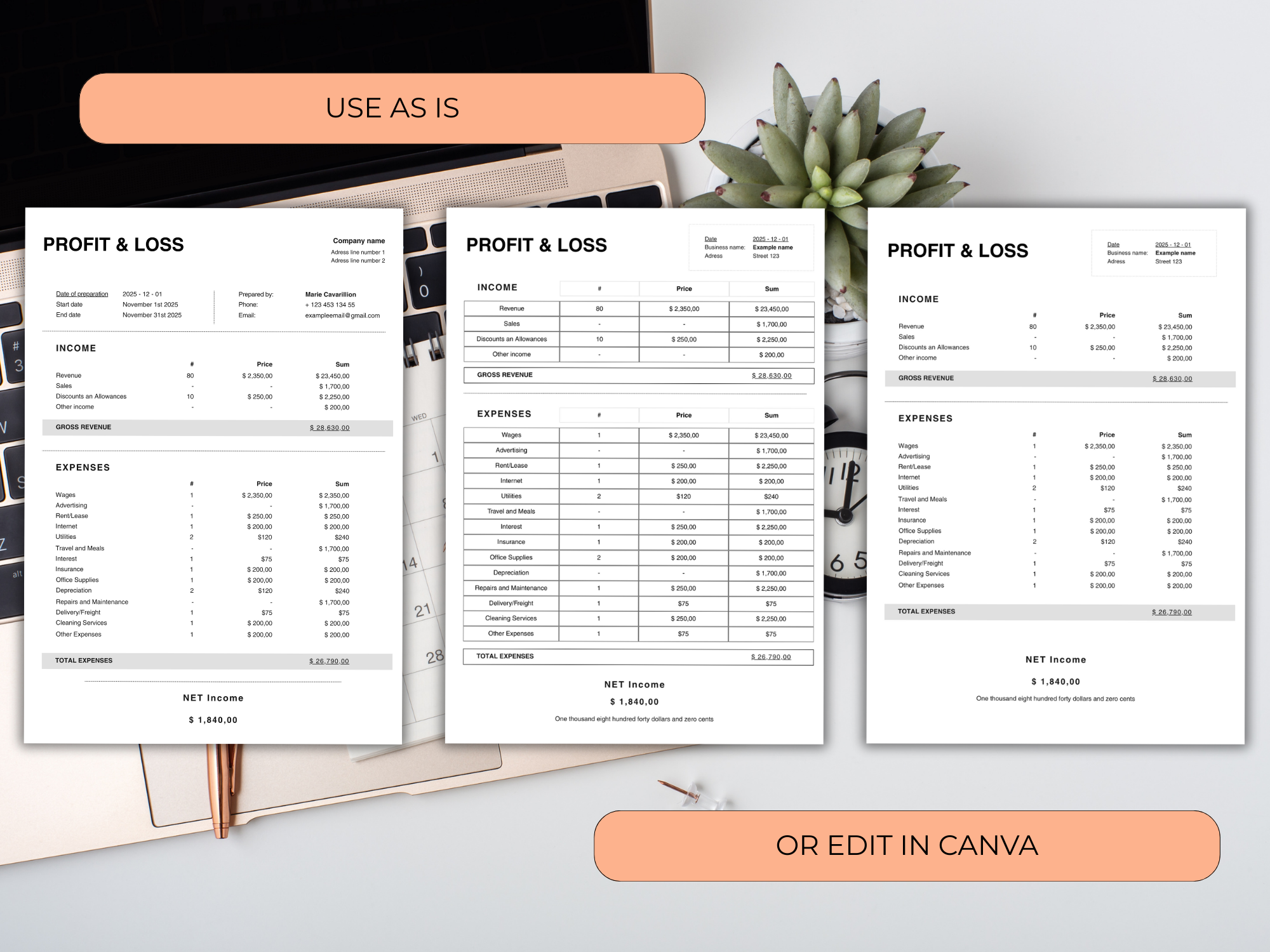 Profit and Loss Statement Template, Small Business P&L Statement