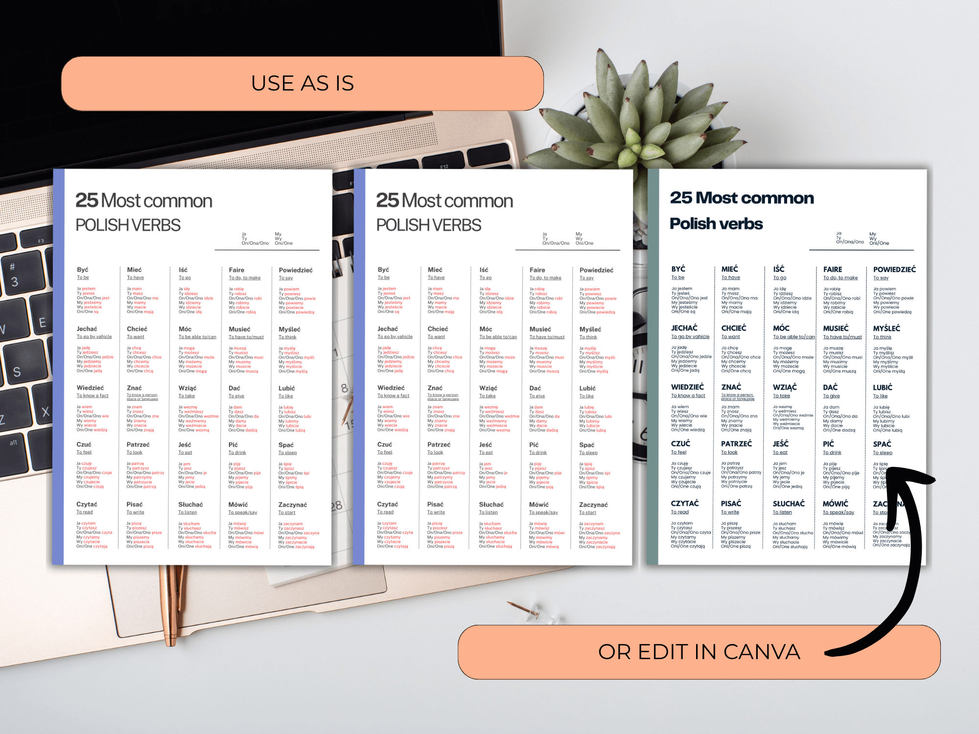 Three pages of a book or notebook showing lists of Polish verbs on a desk with a laptop and plant.