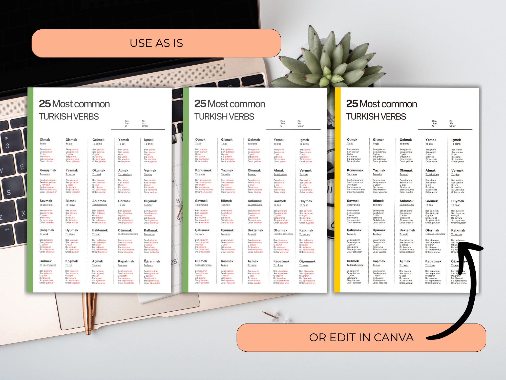 Three identical pages of a book or document titled '25 Most common Turkish Verbs' on a desk with a keyboard and plant.