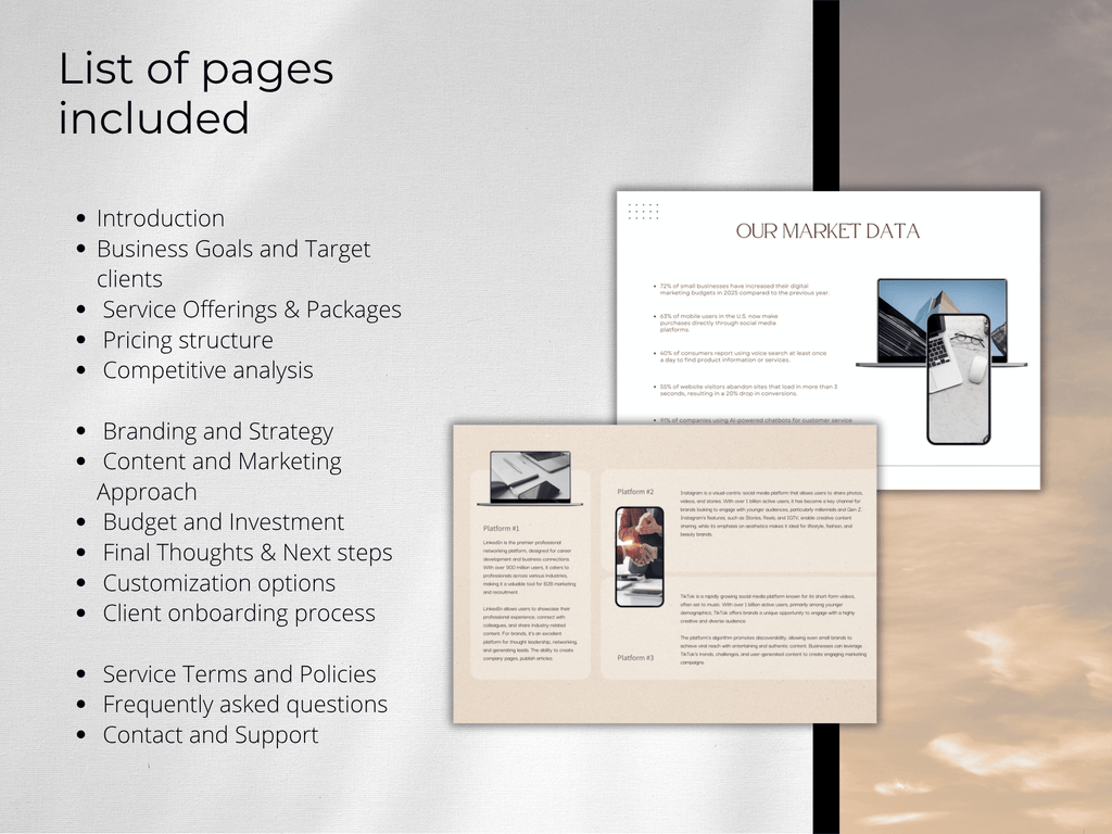 Pages from a business report or marketing plan with text and images on a gray background.