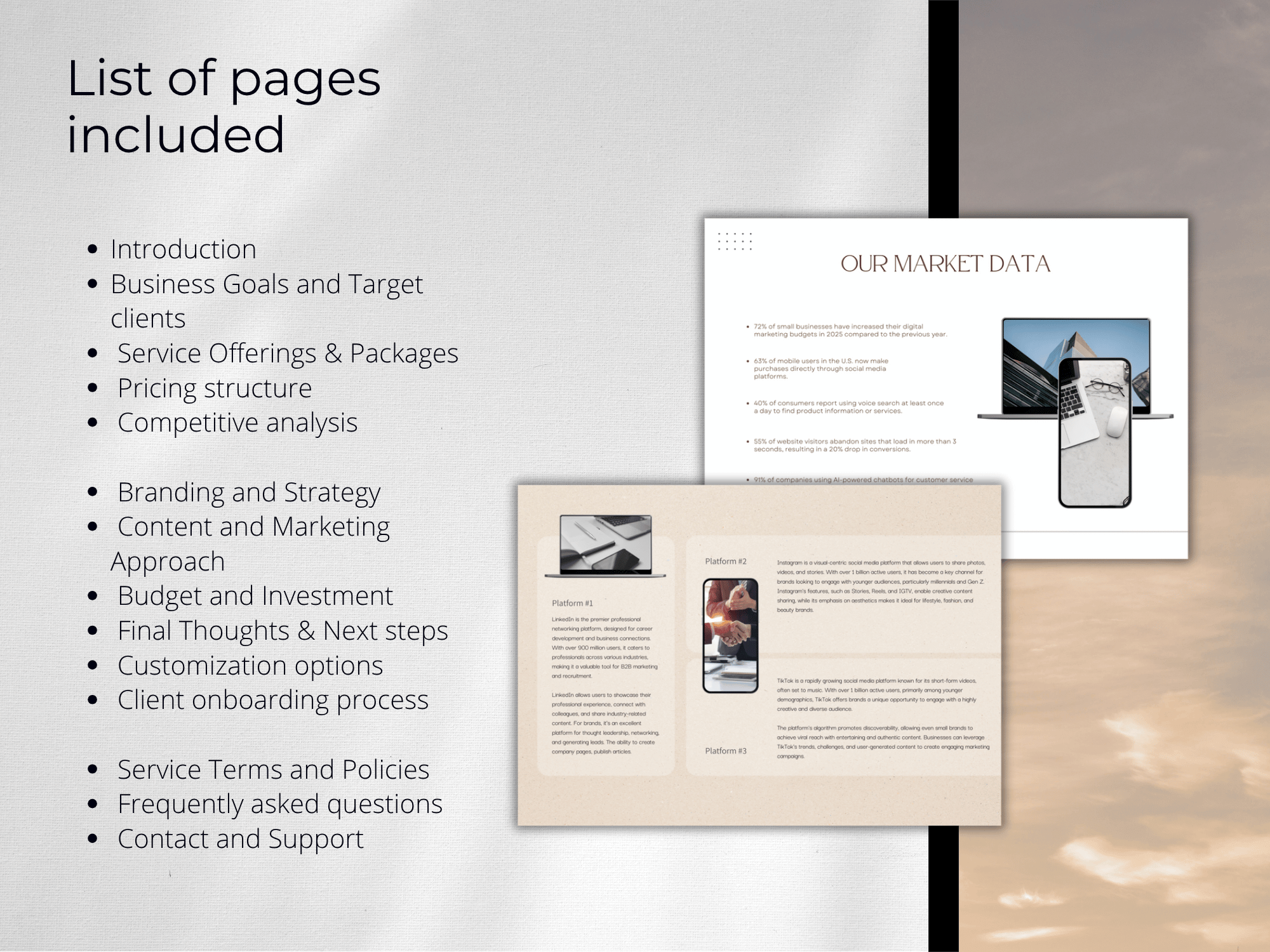 Pages from a business report or marketing plan with text and images on a gray background.
