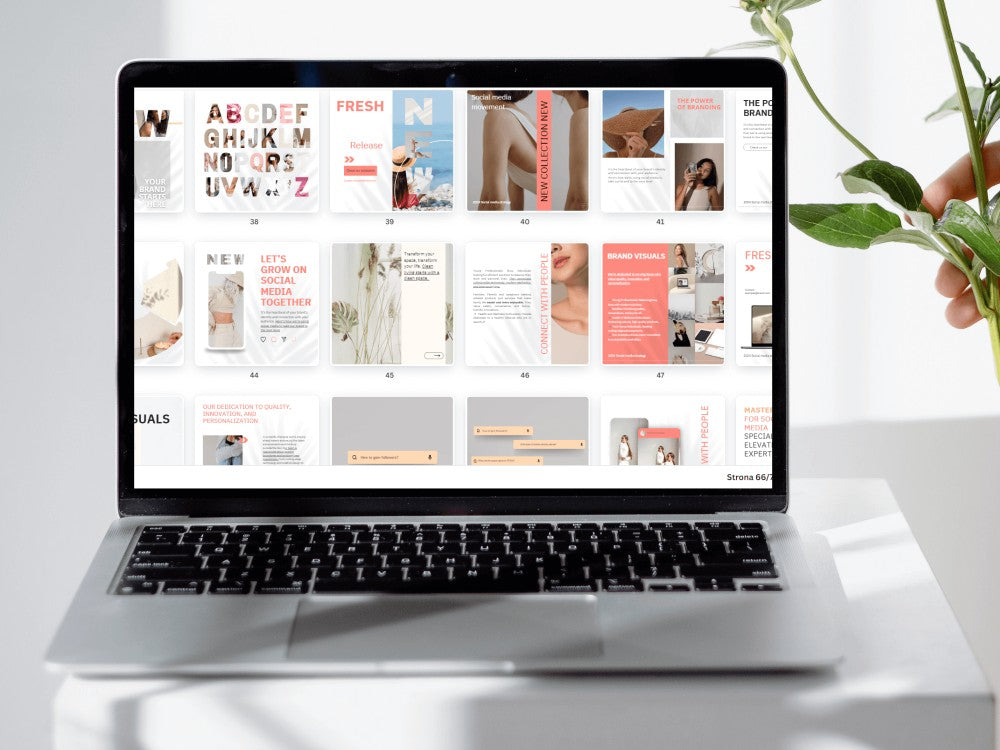 Laptop displaying a magazine layout on a white surface with a plant