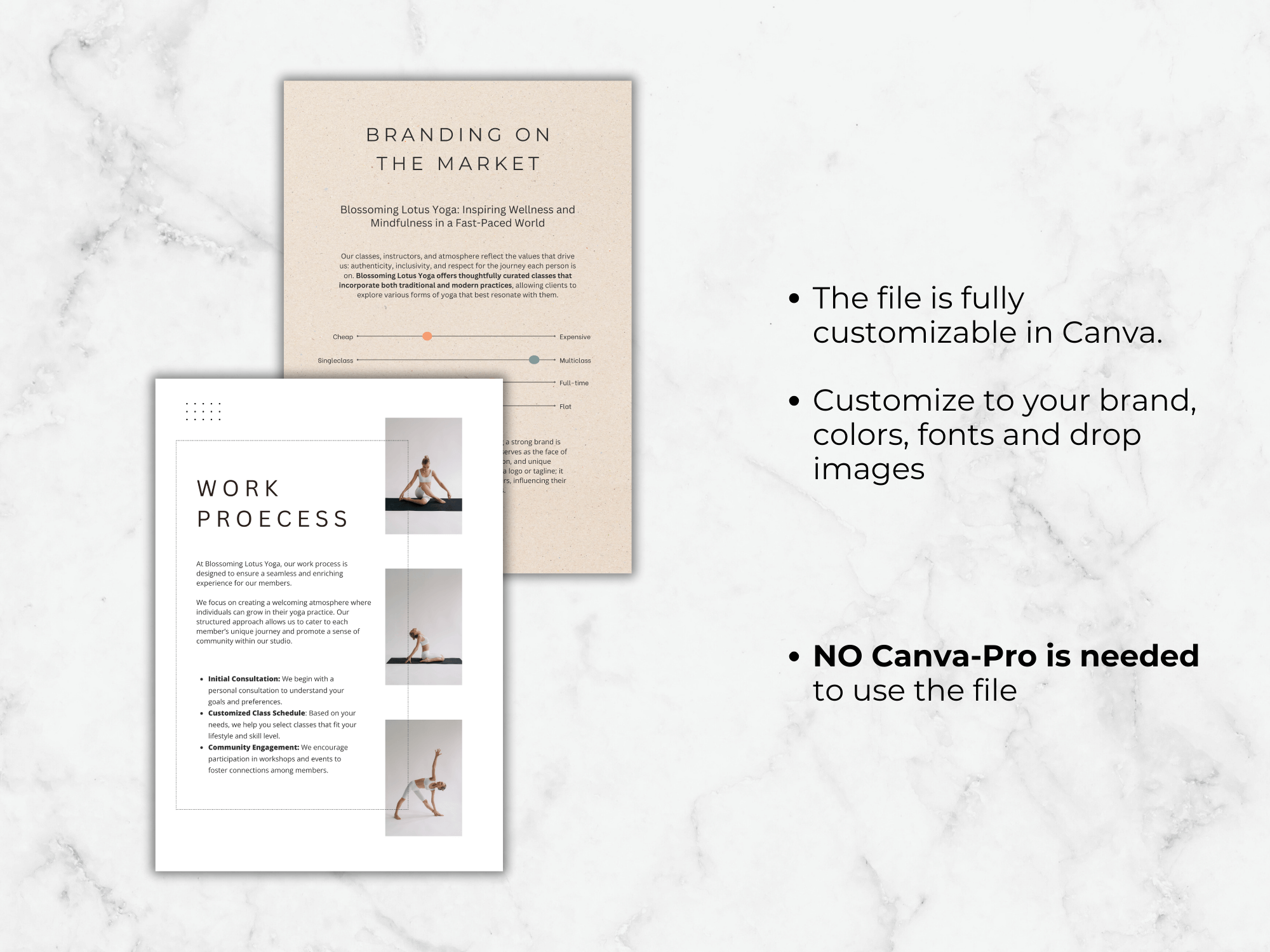 Yoga Studio Business Plan Template