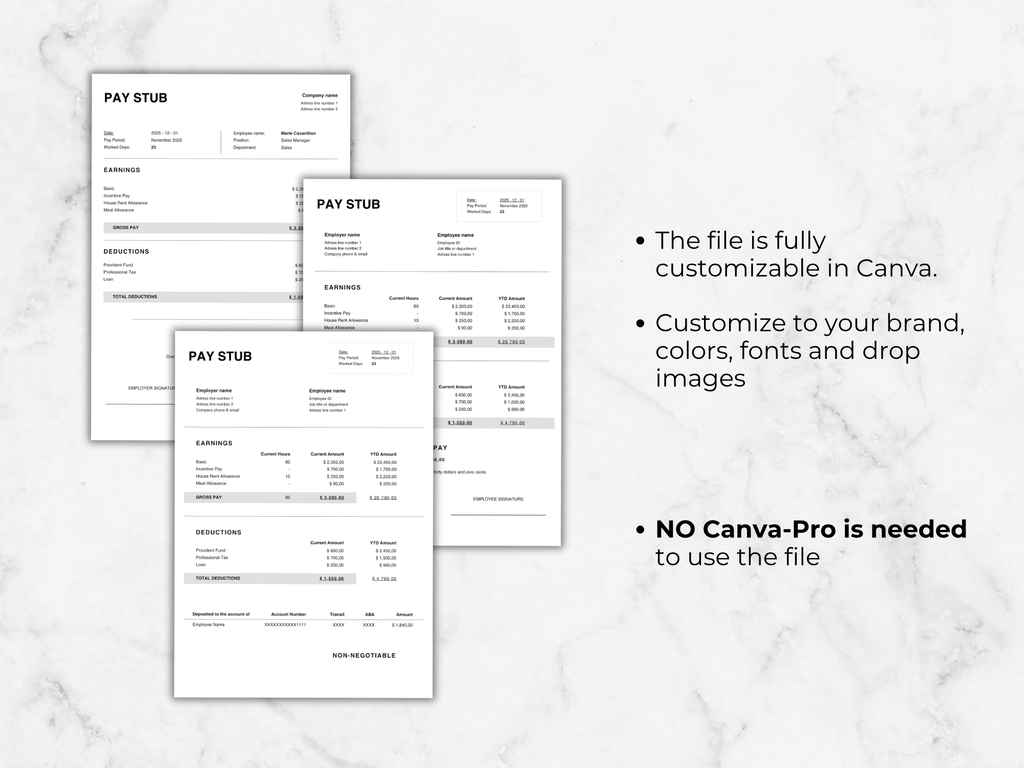 Pay Stub Canva Template