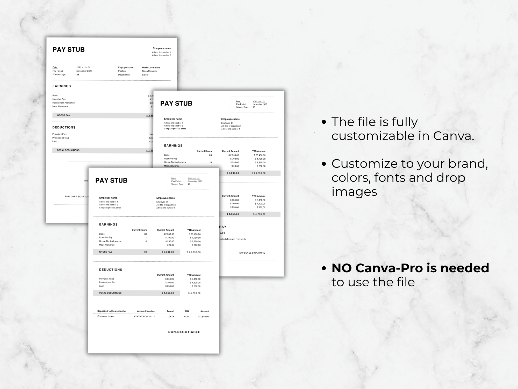 Pay Stub Canva Template