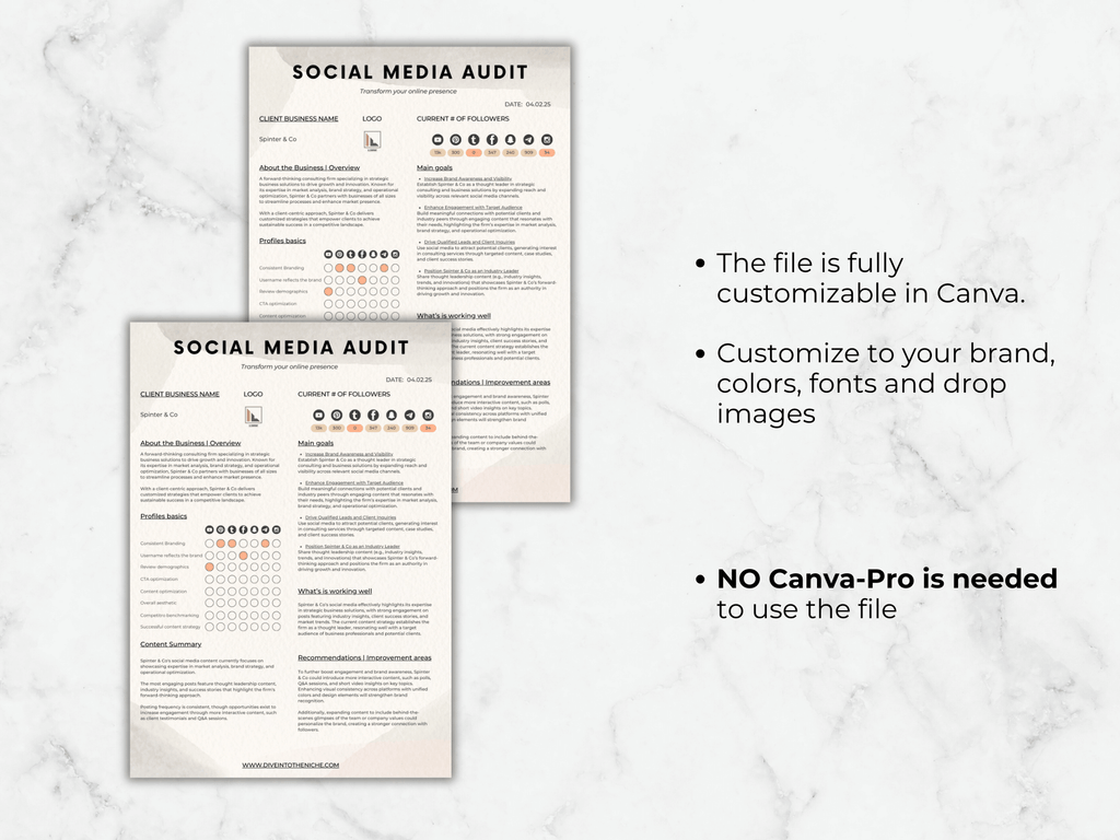 Social Media Audit Template PDF to download