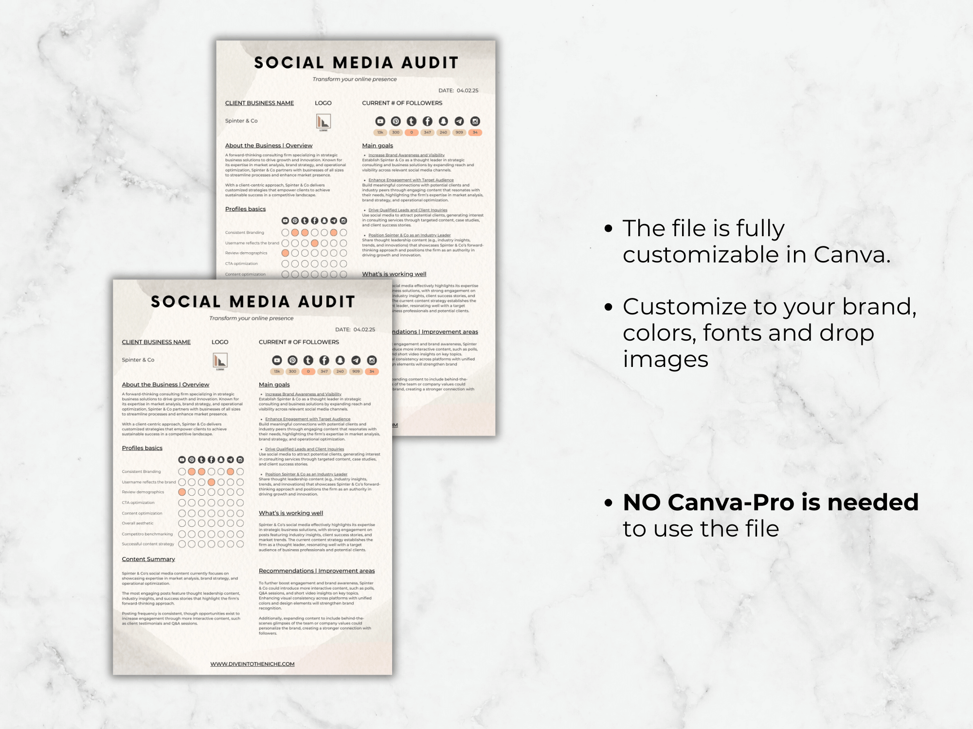 Social Media Audit Template PDF to download