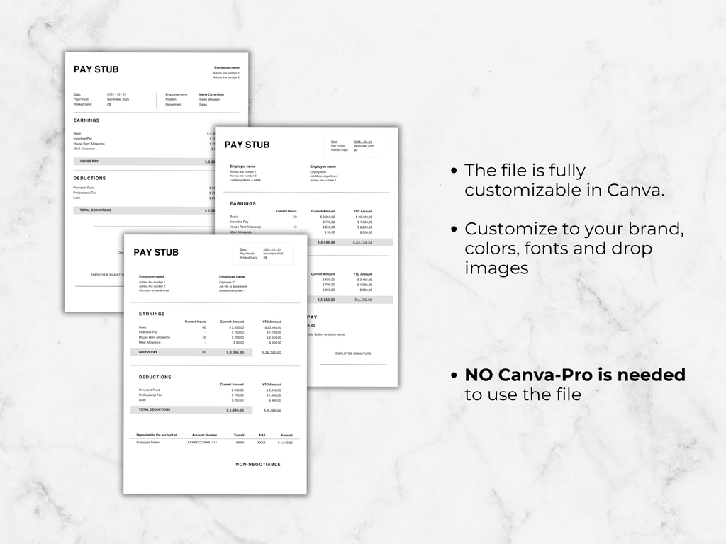 Editable Pay Stub Template: Professional Payroll Form, Canva Template