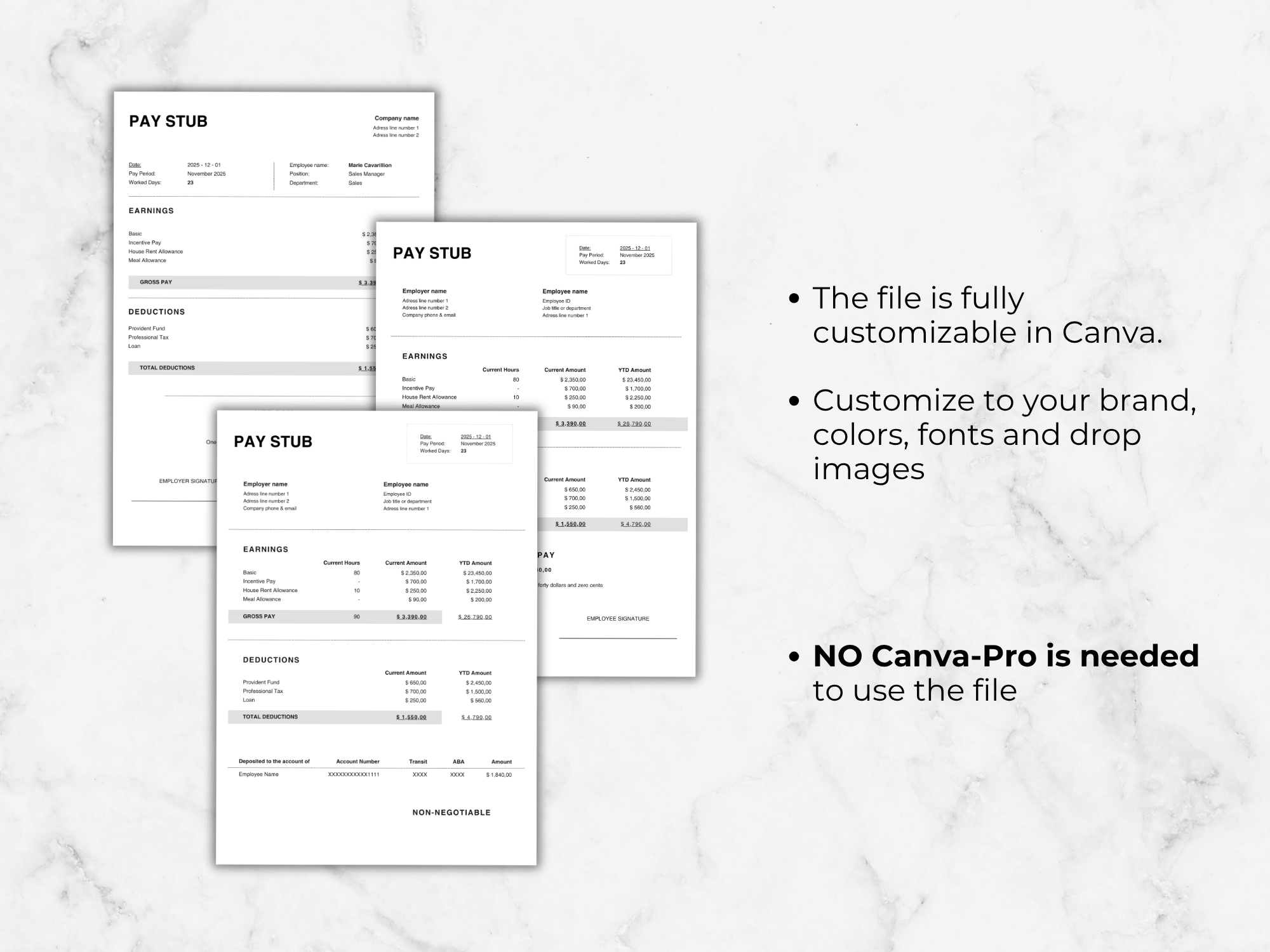 Editable Pay Stub Template: Professional Payroll Form, Canva Template