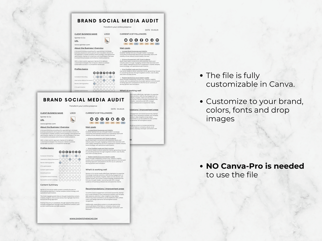 Brand Social Media Audit Template