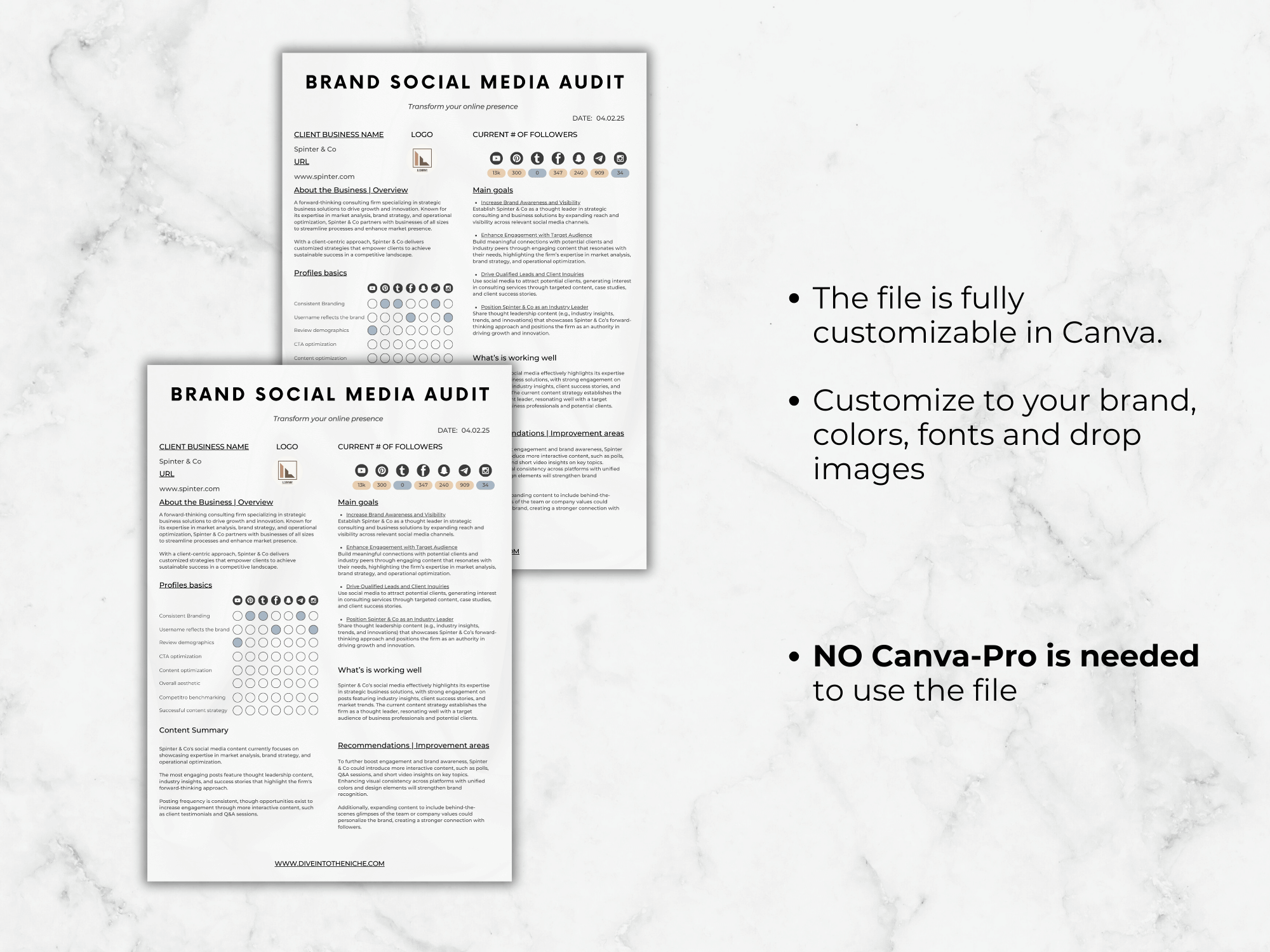 Brand Social Media Audit Template