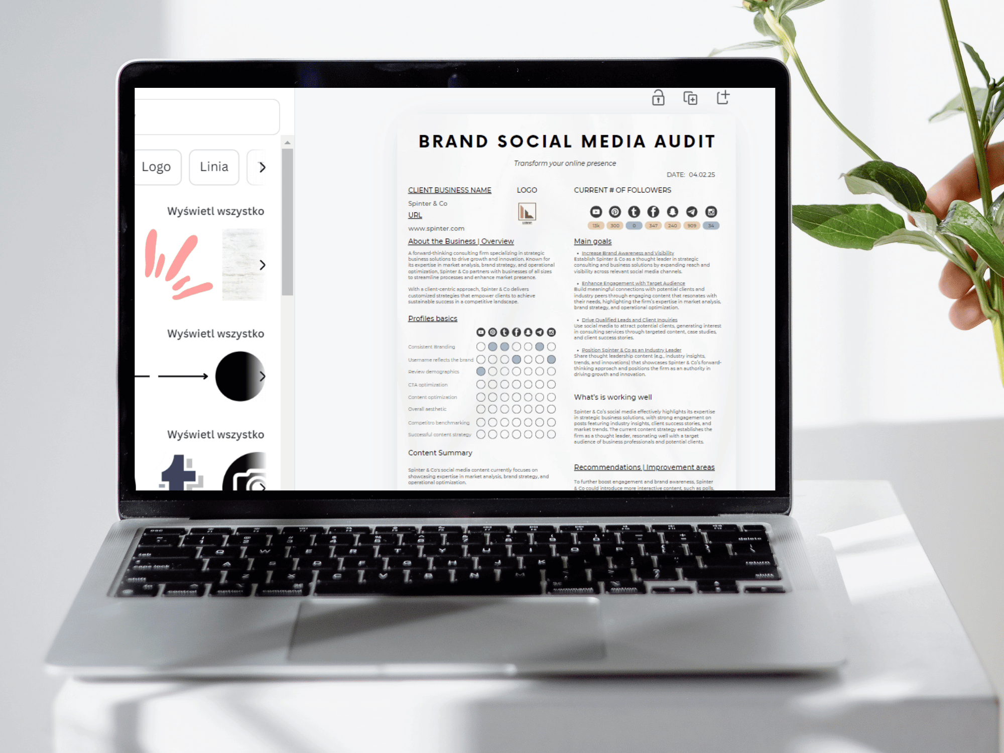 Brand Social Media Audit Template