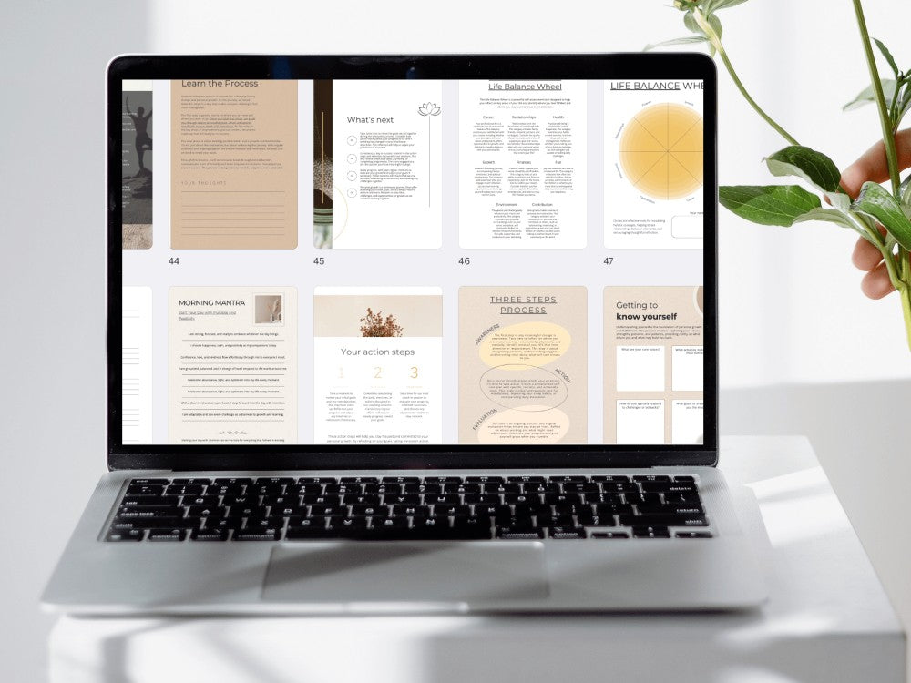 Laptop displaying a digital product on a white surface with a plant in the background