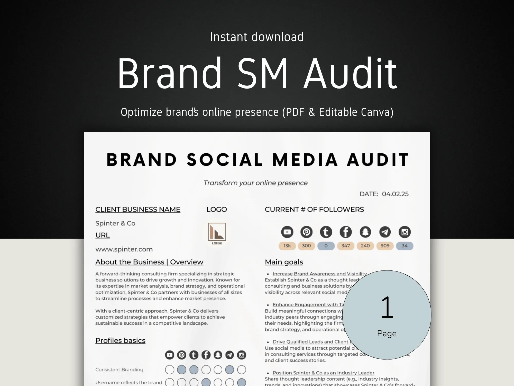 Brand Social Media Audit document with branding elements on a black and white background