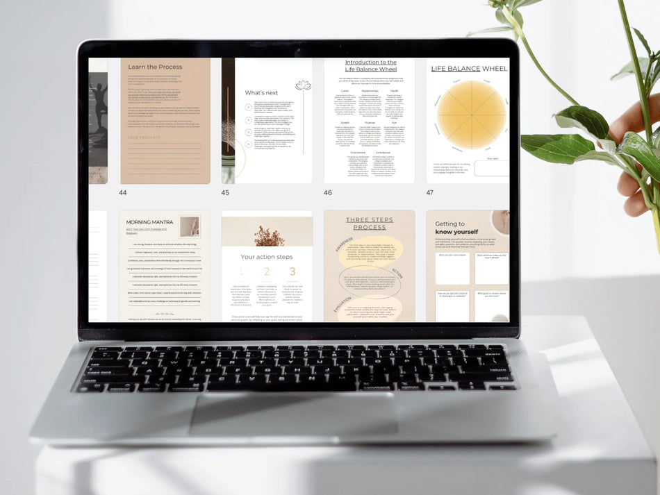 Laptop displaying a digital product on a white surface with a plant