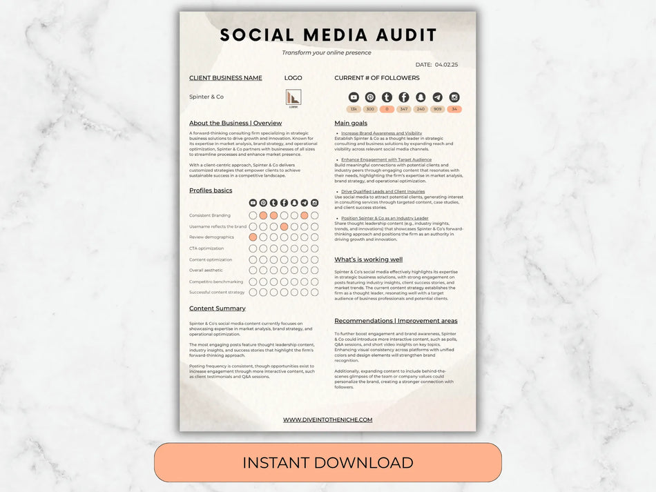 Social Media Audit template on a marble background with an 'Instant Download' button.