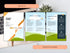 Three pages of a brochure or report with design elements on a desk with a laptop and plant.