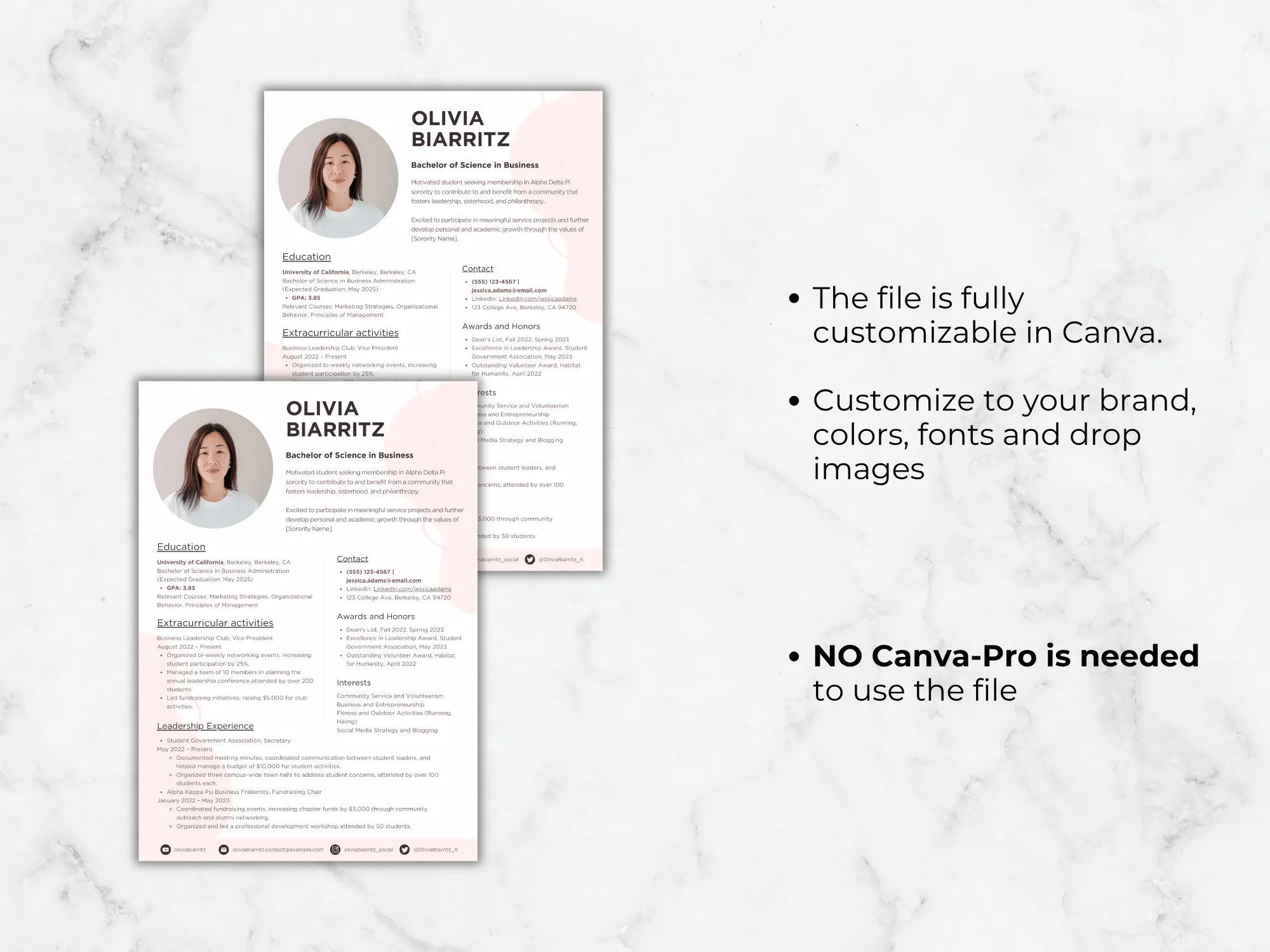 Two resume templates on a marble background with text about customization options.