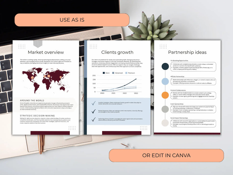 Three document pages displayed over a laptop and desk showing a world map, client growth graphs, and partnership ideas