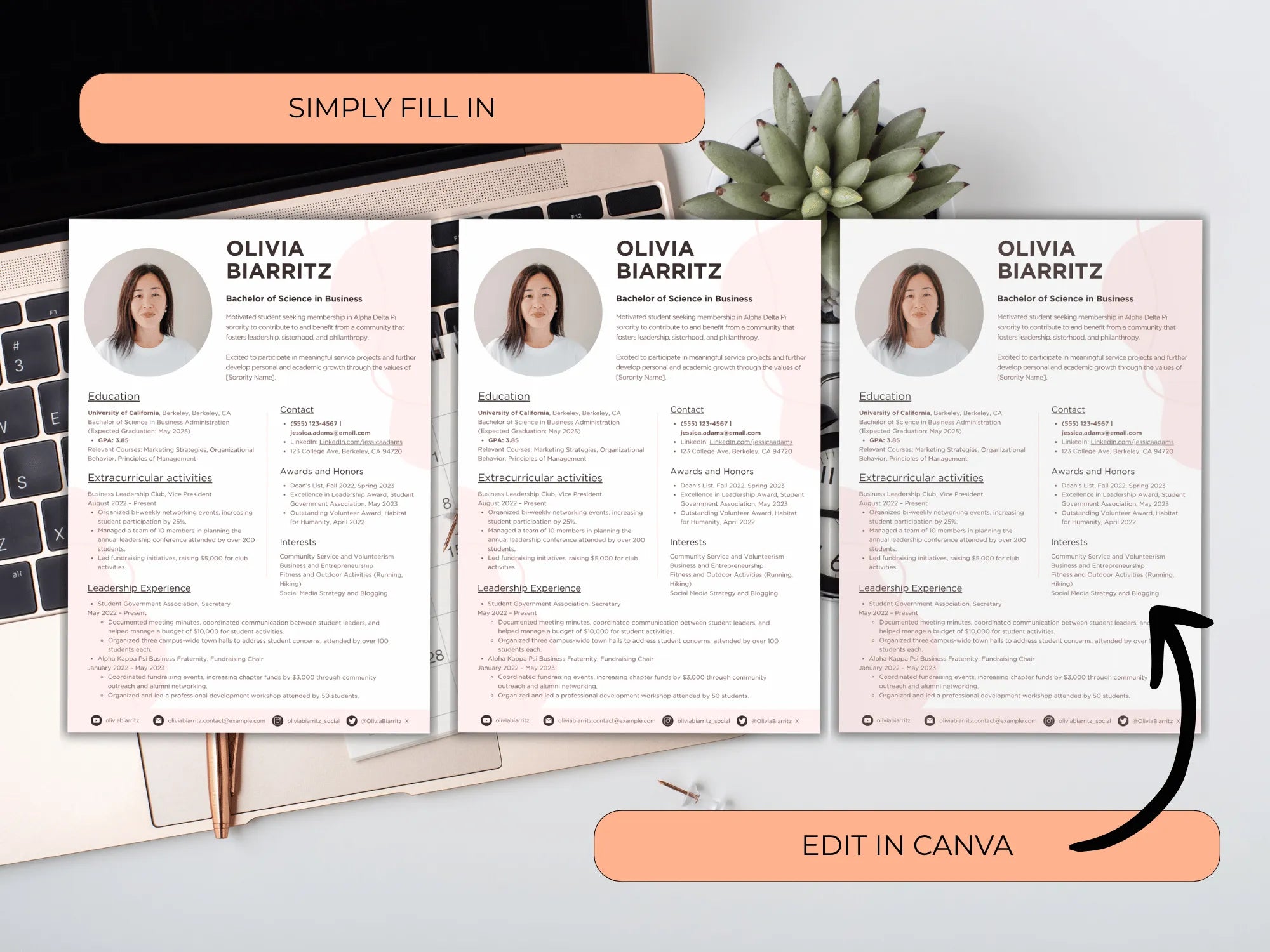 Three resumes with a woman's profile picture and name on a desk with a laptop and plant.