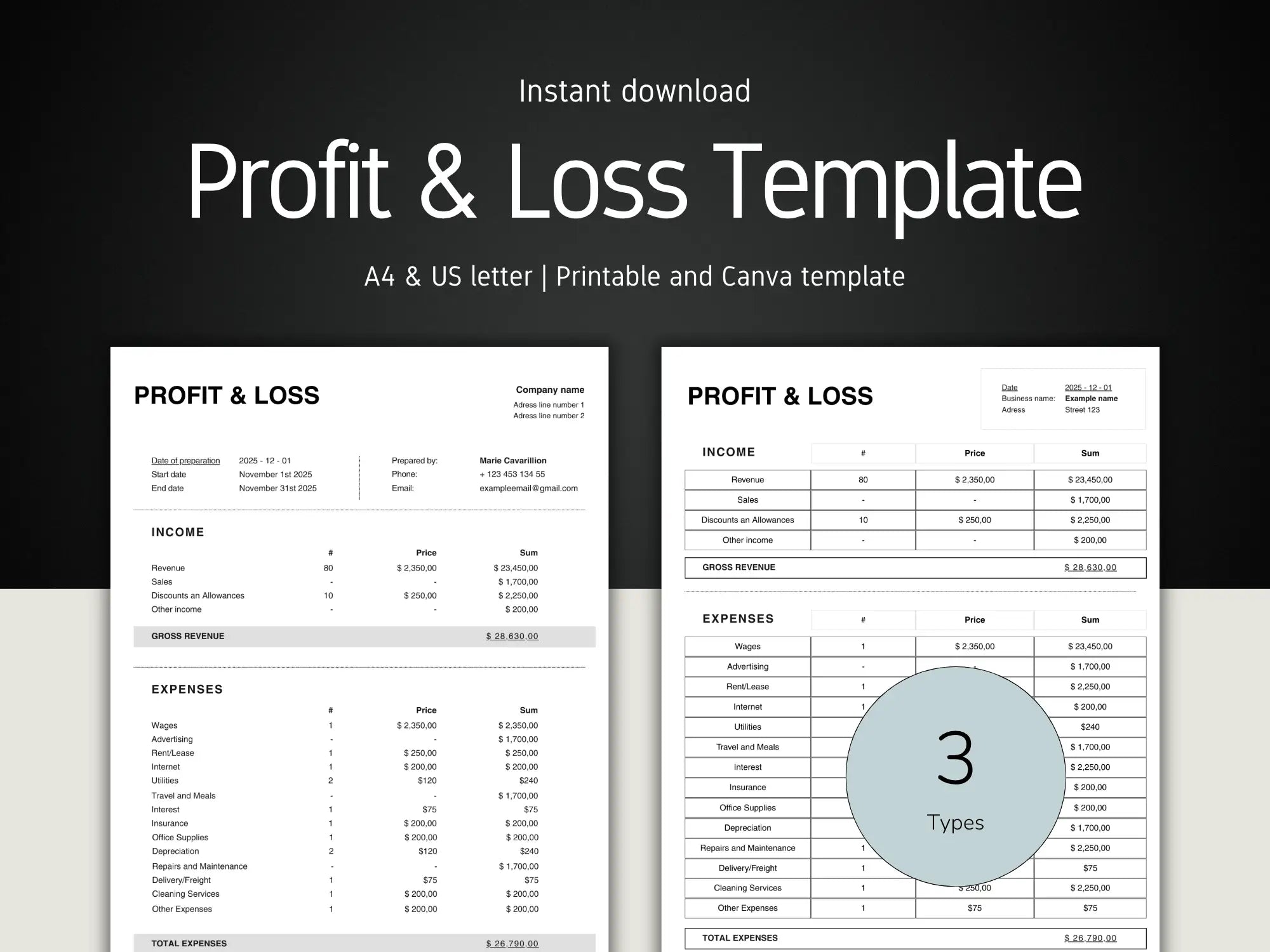 Check Stub Template with 'Instant download' text on a dark background