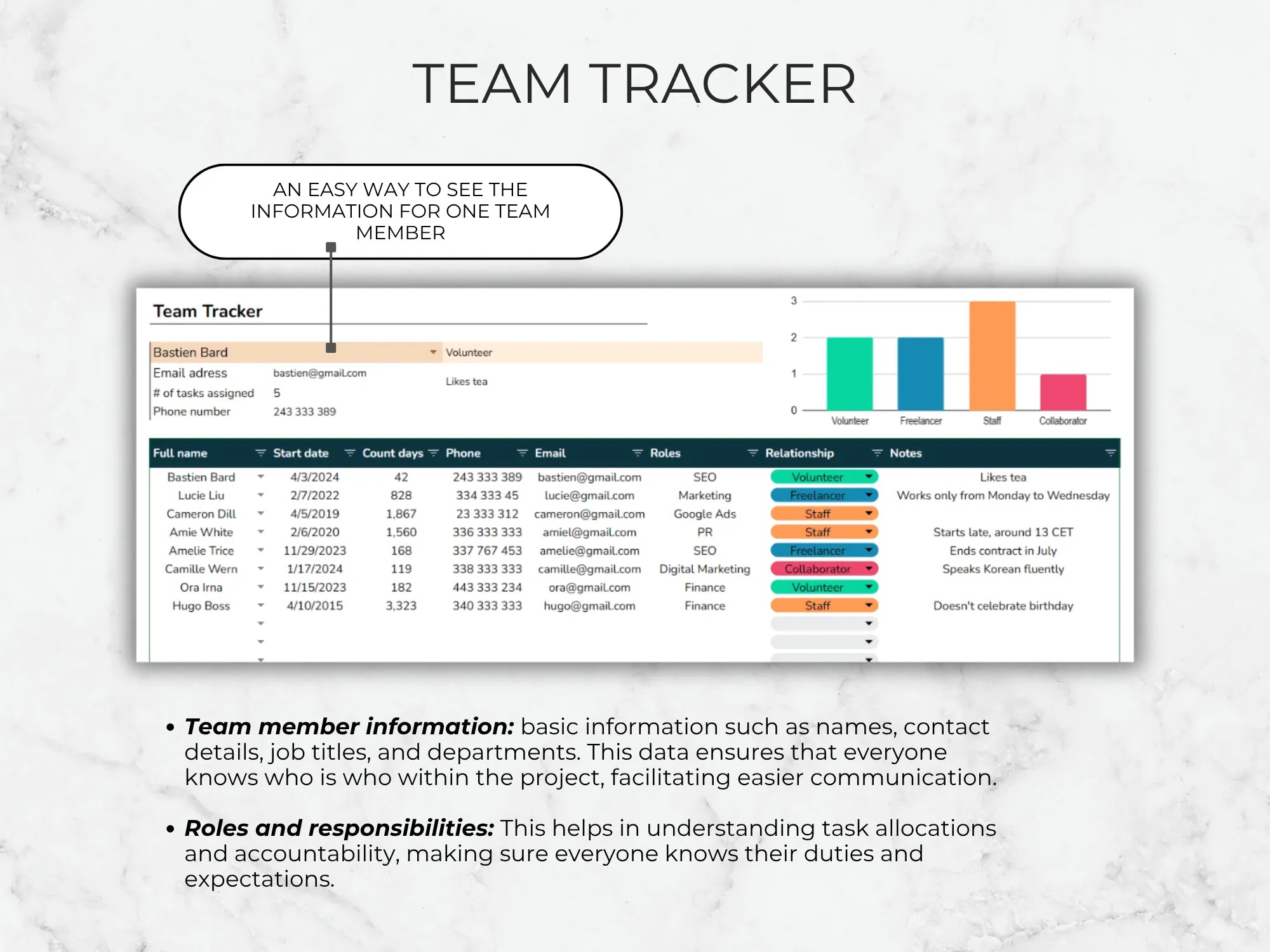 Team Tracker software interface on a light gray background
