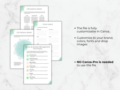 Examples of life balance wheels and stress management techniques included in the customizable mood journal template.